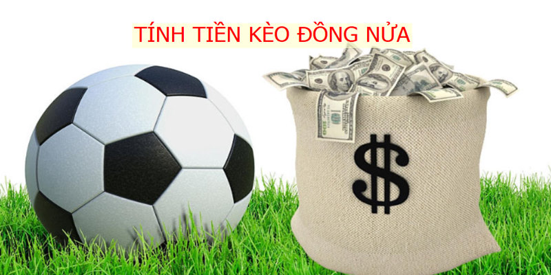 Hướng dẫn cách tính tiền ở kèo đồng nửa là gì